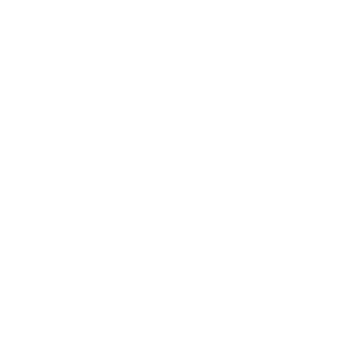 Evonik Logo